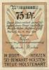 Nortorf - Stadt - 10.5.1920 - 75 Pfennig 