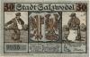 Salzwedel - Stadt - 20.3.1921 - 50 Pfennig 