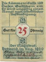 Detmold - Stadt - August 1920 - 25 Pfennig