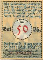 Detmold - Stadt - August 1920 - 50 Pfennig