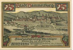 Hammelburg - Stadt - 1918 - 25 Pfennig