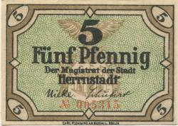 Herrnstadt (heute: PL-Wasosz) - Stadt - - 31.12.1919 - 5 Pfennig