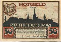 Hohenmölsen - Stadt - -- - 50 Pfennig