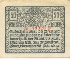 Jauer (heute: PL-Jawor) - Stadt - 1.12.1918 - 1.2.1920 - 50 Pfennig 