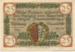 Nesselwang - Marktgemeinde - November 1918 - 25 Pfennig