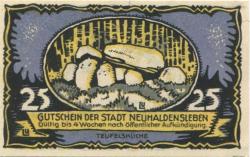 Neuhaldensleben (heute: Haldensleben) - Stadt - -- - 25 Pfennig