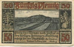 Neustadt (Plz 96465) - Stadt - 1920 - 50 Pfennig