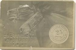Pfarrkirchen - Förg, Adalbert - 1920 - 25 Pfennig