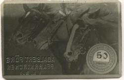 Pfarrkirchen - Förg, Adalbert - 1920 - 50 Pfennig