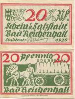 Reichenhall (Bad) - Stadt - 1920 - (40) Pfennig