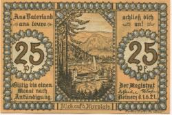 Reinerz (Bad) (heute: PL-Duszniki-Zdrój) - Stadt - 1.6.1921 - 25 Pfennig