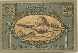Reinerz (Bad) (heute: PL-Duszniki-Zdrój) - Stadt - 1.6.1921 - 50 Pfennig