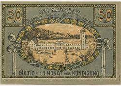 Reinerz (Bad) (heute: PL-Duszniki-Zdrój) - Stadt - 1.6.1921 - 50 Pfennig
