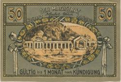Reinerz (Bad) (heute: PL-Duszniki-Zdrój) - Stadt - 1.6.1921 - 50 Pfennig