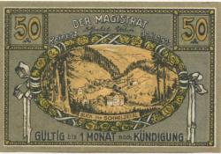 Reinerz (Bad) (heute: PL-Duszniki-Zdrój) - Stadt - 1.7.1921 - 50 Pfennig
