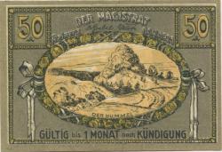 Reinerz (Bad) (heute: PL-Duszniki-Zdrój) - Stadt - 1.7.1921 - 50 Pfennig