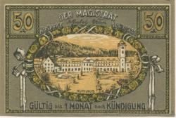 Reinerz (Bad) (heute: PL-Duszniki-Zdrój) - Stadt - 1.7.1921 - 50 Pfennig