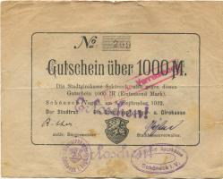 Schöneck - Stadtrat und Stadthaupt-, Spar- und Girokasse - 8.9.1922 - 1000 Mark 
