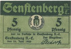 Senftenberg - Stadt - 24.6.1920 - 31.12.1921 - 5 Pfennig