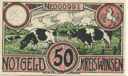 Winsen - Kreis - - 30.6.1921 - 50 Pfennig 