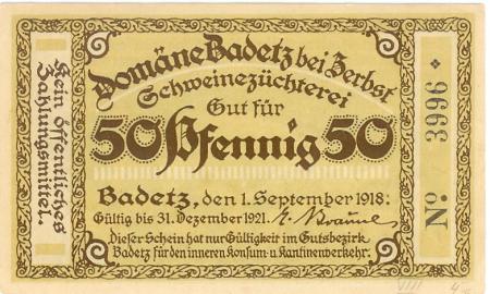 Badetz (heute: Zerbst) - Domäne - 1.9.1918 - 31.12.1921 - 50 Pfennig 