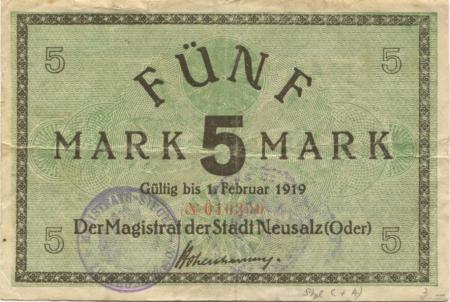 Neusalz (heute: PL-Nowa Sól) - Stadt - - 1.2.1919 -  5 Mark 
