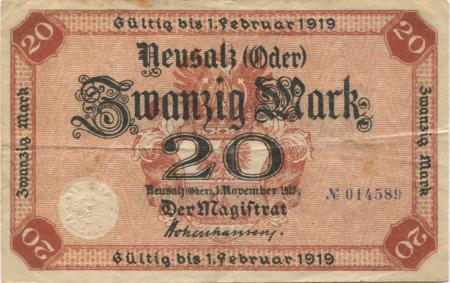 Neusalz (heute: PL-Nowa Sól) - Stadt - - 1.2.1919 -  20 Mark 