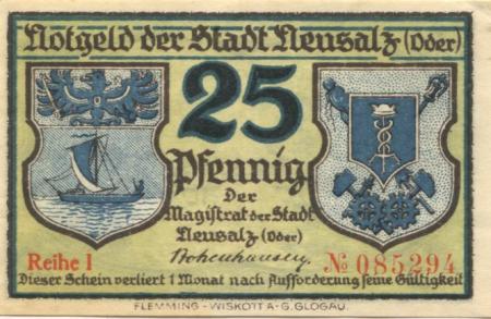 Neusalz (heute: PL-Nowa Sól) - Stadt - -- - 25 Pfennig 