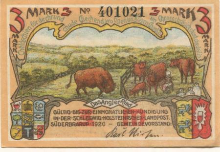 Süderbrarup - Gemeinde - 1920 - 3 Mark 
