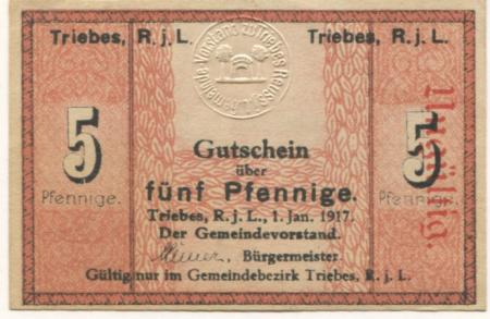Triebes (heute: Zeulenroda) - Stadt - 1.1.1917 - 5 Pfennig 