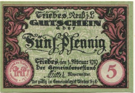 Triebes (heute: Zeulenroda) - Stadt - 1.2.1919 - 5 Pfennig 