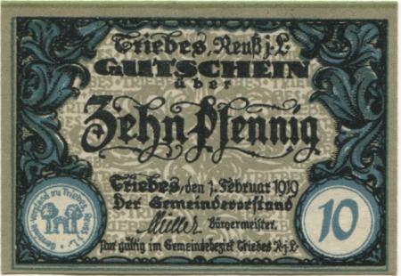 Triebes (heute: Zeulenroda) - Stadt - 1.2.1919 - 10 Pfennig 
