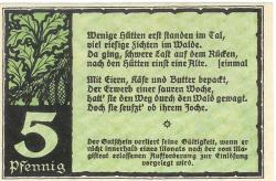 Benneckenstein (heute: Oberharz) - Stadt - Juli 1921 - 5 Pfennig
