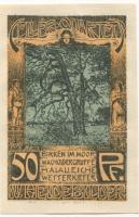 Celle - Stadt - - 31.1.1922 - 50 Pfennig