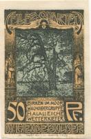 Celle - Stadt - - 31.1.1922 - 50 Pfennig