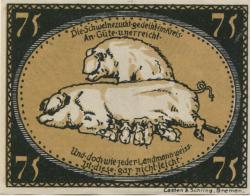 Diepholz - Kreis - 15.9.1921 - 75 Pfennig