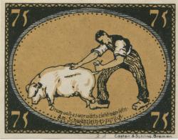 Diepholz - Kreis - 15.9.1921 - 75 Pfennig