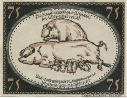 Diepholz - Kreis - 28.9.1921 - 75 Pfennig