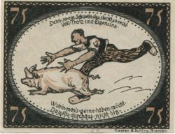 Diepholz - Kreis - 28.9.1921 - 75 Pfennig