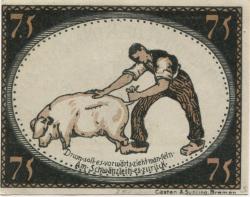 Diepholz - Kreis - 28.9.1921 - 75 Pfennig