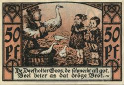 Diepholz - Flecken - 18.7.1921 - 50 Pfennig