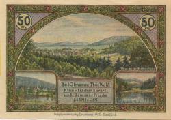 Ilmenau - Stadt - 1921 - 50 Pfennig 