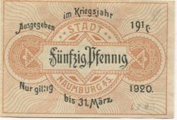 Naumburg - Stadt -1917 - 31.3.1920 - 50 Pfennig 