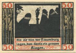 Naumburg - Stadt - 1920 - 50 Pfennig 