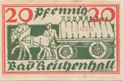 Reichenhall (Bad) - Stadt - 1920 - 20 Pfennig