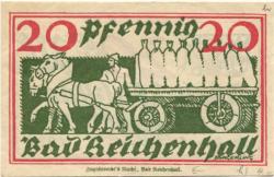 Reichenhall (Bad) - Stadt - 1920 - 20 Pfennig