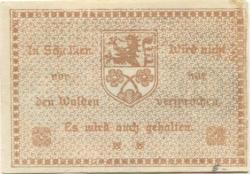 Schalkau - Stadt - 1918 - 10 Pfennig