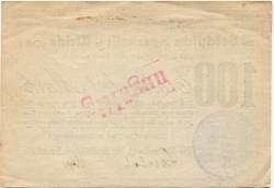 Weida - Städtische Sparkasse - 22.11.1918 - 28.2.1919 - 100 Mark