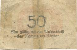 Wollstein (heute: PL-Wolsztyn) -Stadt - 1.4.1918 - 31.12.1919 - 50 Pfennig 