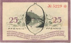 Ziegenrück - Stadt - 1.9.1921 - 25 Pfennig